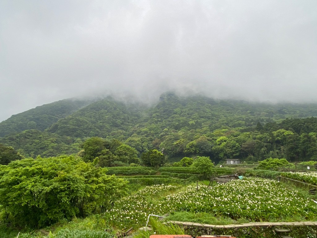 Das ländliche Taiwan: Einzigartige Natur mit Bergen im Hintergrund.